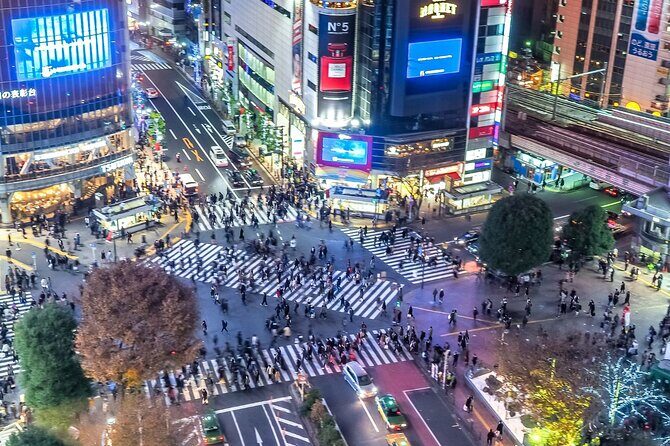Real Anime & Culture Tour in Shibuya: Food, Shopping & Game Fun - The Food and Beverages: A Japanese Flavor