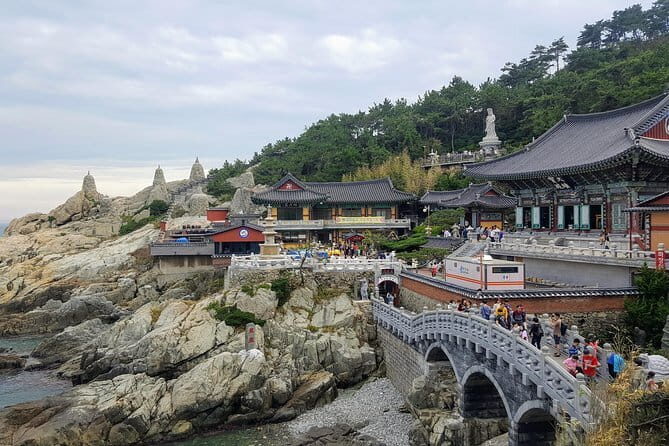 Real Busan Walking Explore - The Sum Up: Who Will Love This Experience?