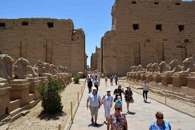 Real Life Egypt Shore Excursions from Safaga to Luxor Day Trip - Key Points