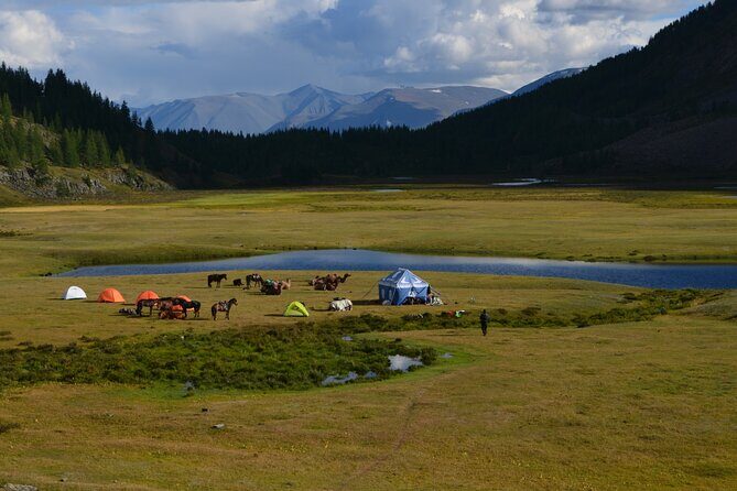 Real Mongolian Adventure! The best highlights of Mongolia - An Honest Look at the Experience