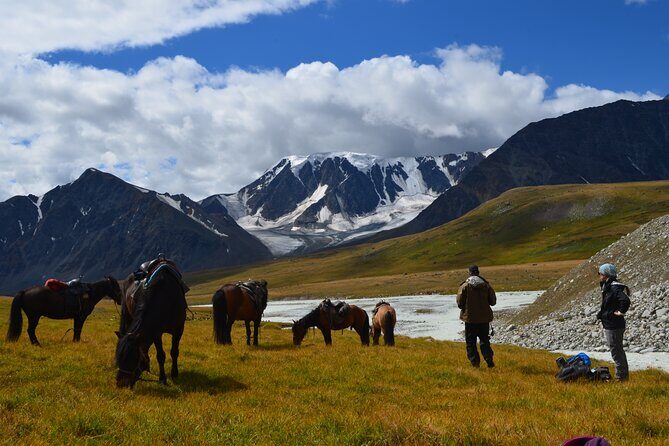 Real Mongolian Adventure! The best highlights of Mongolia - How the Tour Compares to Other Options