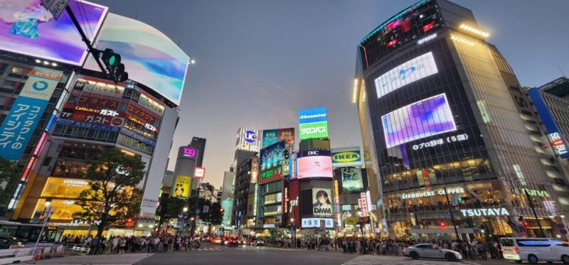 Real Tokyo in one day with a local - Authentic Experiences and Traveler Feedback