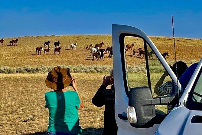 Red Canyon Wild Mustang Tours And Safaris In Cody Wyoming - The Sum Up: Who Should Consider This Tour?