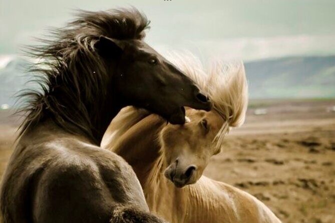 Red Canyons Best Of The Wild West Wild Mustang+Rafting Adventure - Introduction: An Exciting Glimpse of the Wild West