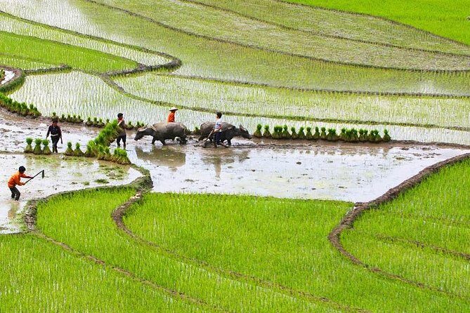 Red Dao village trek and Herbal bath - Key Points