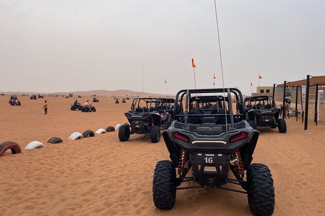 Red Dune Desert Safari Camel Ride, Sandboarding with BBQ Dinner - An In-Depth Look at the Desert Adventure