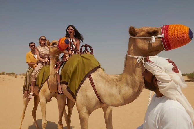 Red Dune Desert Safari Dubai Camel Ride Sandboarding & BBQ Dinner - What to Expect from the Red Dune Desert Safari