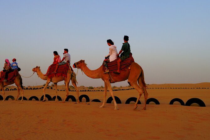 Red Dune Desert Safari Dubai Camel Ride Sandboarding & BBQ Dinner - Analyzing the Value