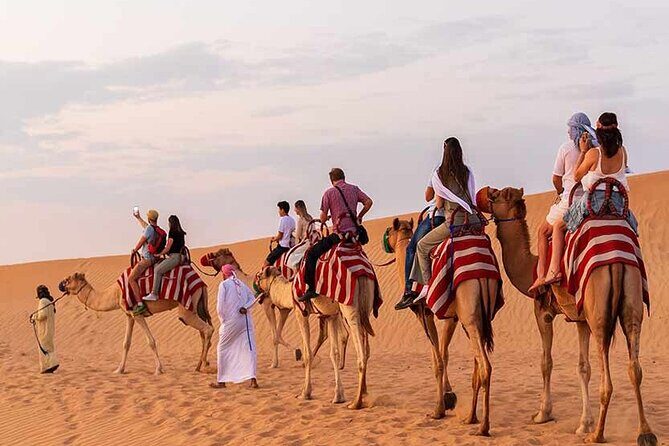 Red Dune Desert Safari Dubai - What the Tour Offers