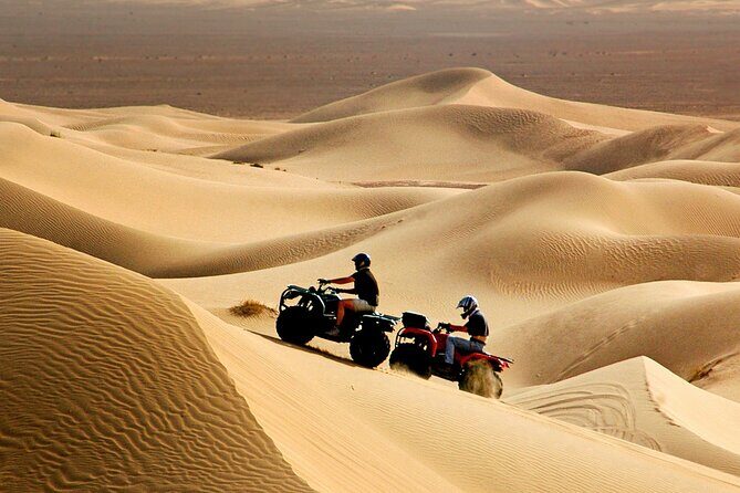 Red Dune Desert Safari Tour with Camel Ride & BBQ Experience - What Makes This Tour Stand Out