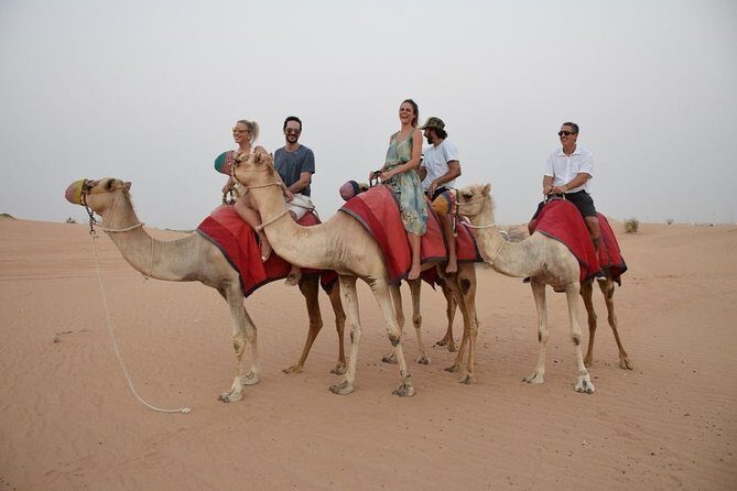 Red Dune Desert Safari with BBQ - Final Thoughts: Who Should Consider This Tour?