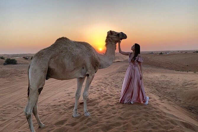 Red Dune Desert Safari with BBQ Dinner - Key Points