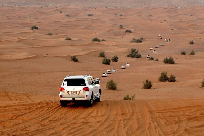 Red Dune Evening Desert Safari with Sandbashing and BBQ Dinner - Final Words