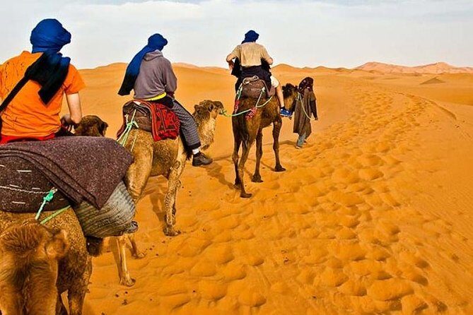 Red Dunes Desert Safari Plus ATV Quad Bike Ride (Land Cruiser) - Exploring the Red Dunes Desert Safari Plus ATV Quad Bike Ride (Land Cruiser): A Practical Review