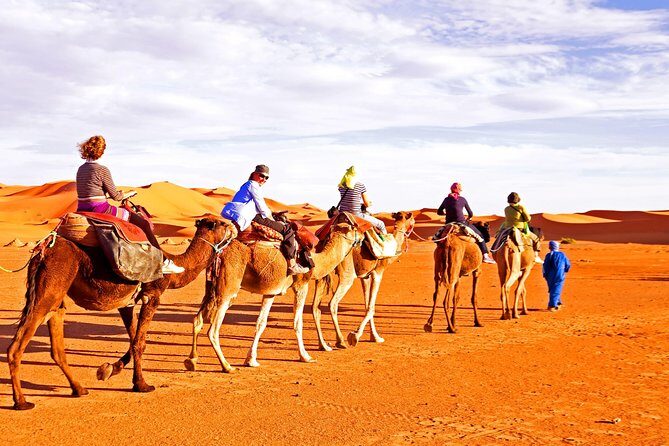 Red Dunes Desert Safari, Sand Board, Camel Ride with BBQ Dinner - Introduction: Your Guide to the Red Dunes Desert Safari