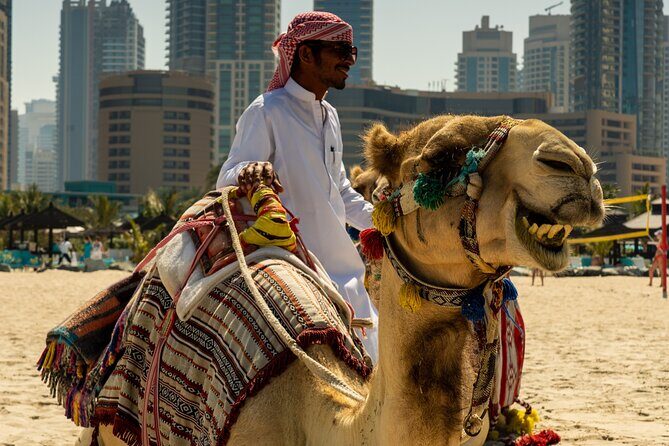 Red Dunes Quad Bike Safari, Sand surf, Camels and BBQ - Who Would Love This Tour?