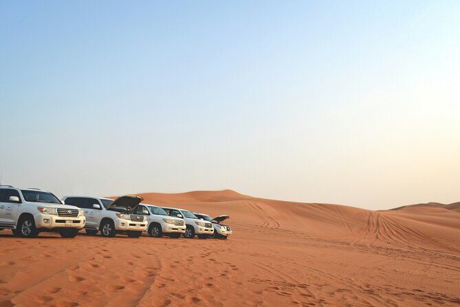 Red Dunes Safari Dubai Tour with Camel Ride, BBQ and Live Shows - An Honest Look at the Red Dunes Safari Dubai Tour with Camel Ride, BBQ, and Live Shows