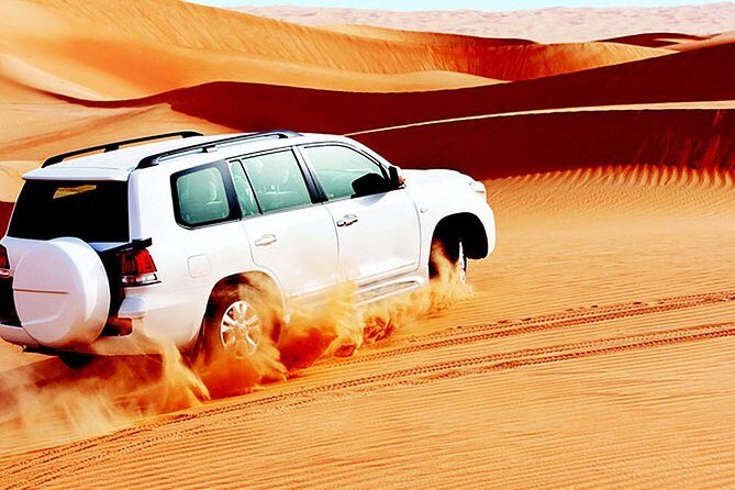 Red Dunes Safari with BBQ dinner, Falcon and Camel Ride - Why This Tour Works Well for Travelers