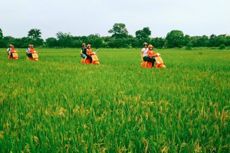 Red River delta & rural village with female Ao dai riders - A Scenic Ride that Combines Nature, History, and Culture