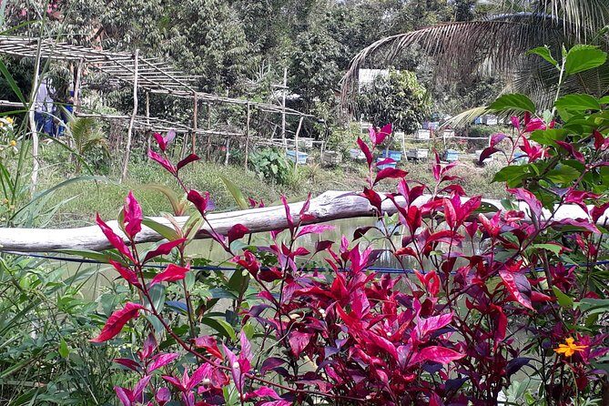 RED RIVER TOUR (Private Tour): LAND ISLAND TOUR AROUND THE SOUTH - Visiting the Cultured Pearl Farm: A Glittering Showcase