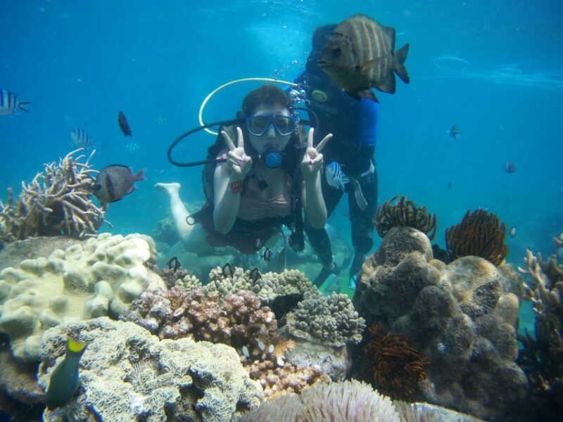 Red River Tour - Scuba Diving At Roi Island Phu Quoc - Key Points