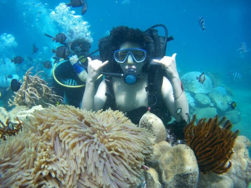 Red River Tour - Scuba Diving At Roi Island Phu Quoc - Who Will Love This Tour?