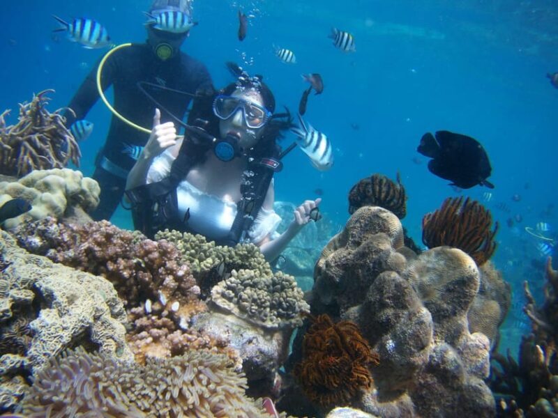 Red River Tour - Scuba Diving At Roi Island Phu Quoc - FAQ