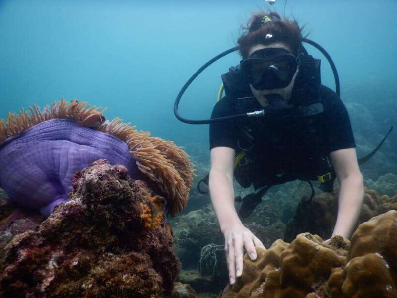 [Red River Tours] Luxury Professional Scuba Diving - Considerations Before Booking