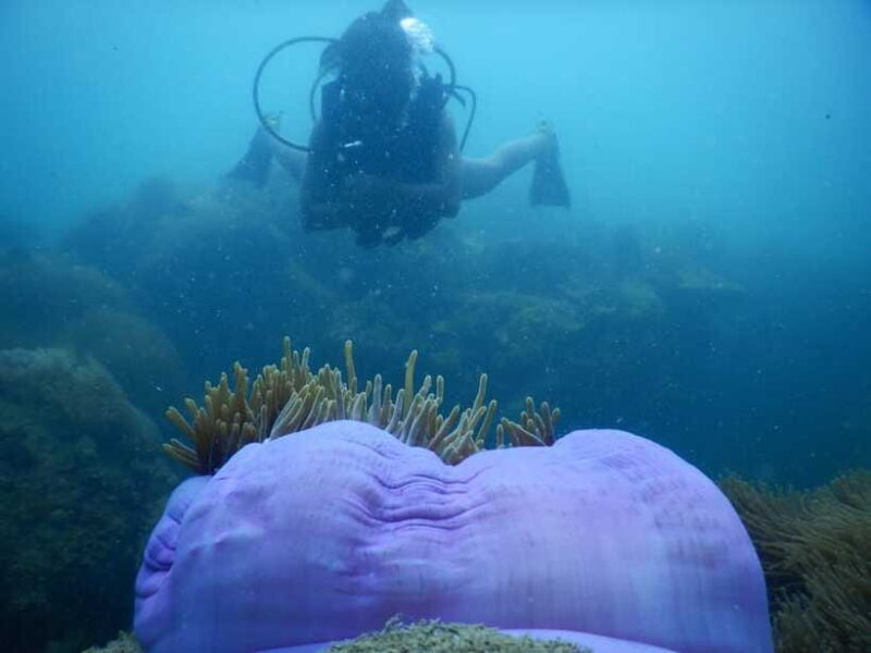 [Red River Tours] Luxury Professional Scuba Diving - The Sum Up
