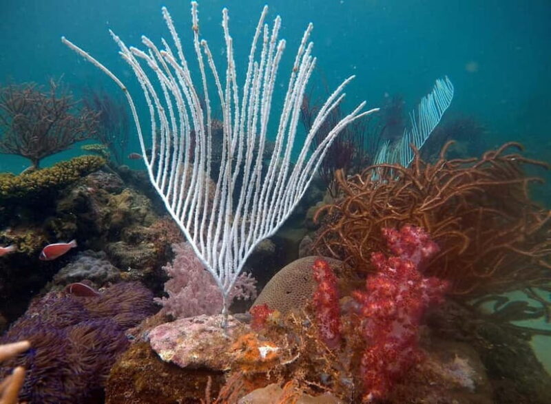 Red River Tours - Sea Walking Experience in Phu Quoc - Introduction