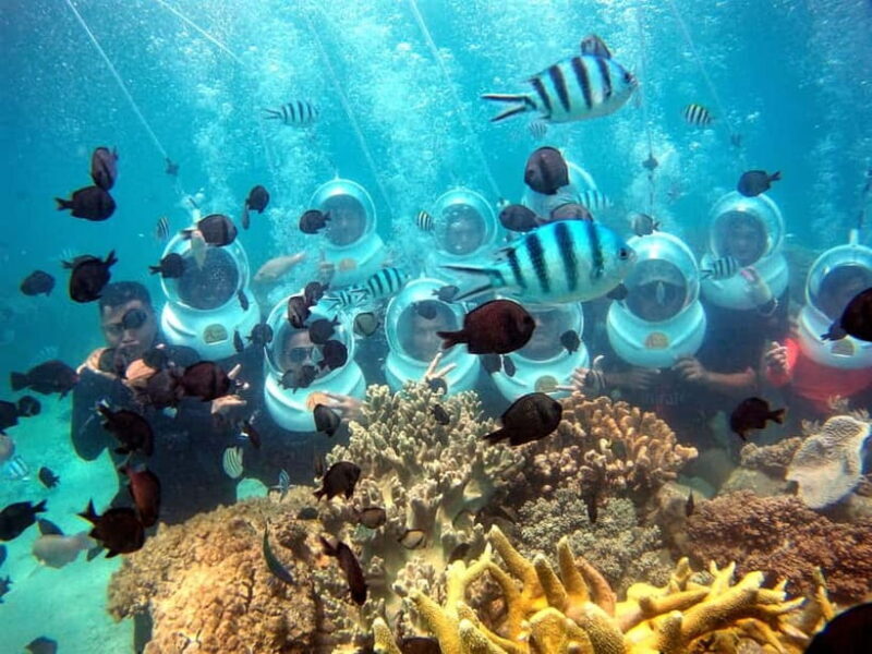 Red River Tours - Sea Walking Experience in Phu Quoc - Who Would Enjoy This?