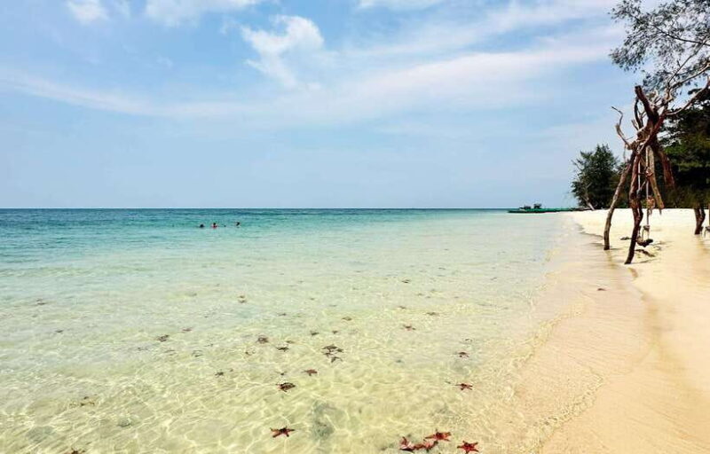 [Red River Tours] Sightseeing to the North in Phu Quoc - Practical Tips for Travelers
