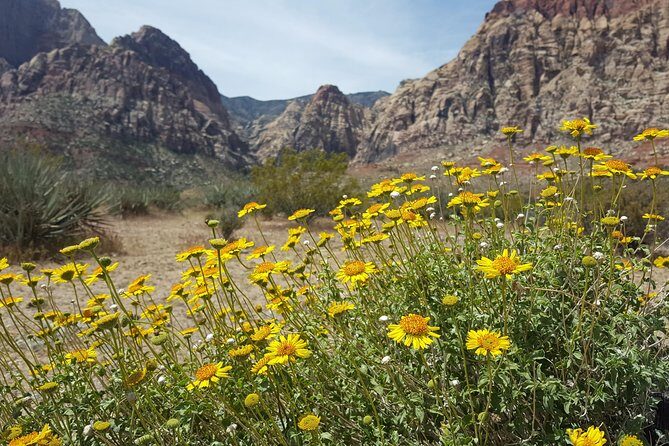 Red Rock Canyon eBike Half-Day Tour - Frequently Asked Questions
