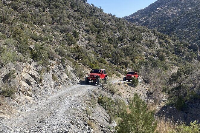 Red Rock Canyon Half Day Jeep Tour Offroad Adventure - An In-Depth Look at the Tour Experience