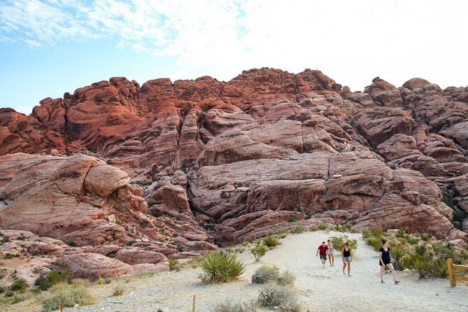 Red Rock Canyon Hike with Transport from Las Vegas - Scenic Highlights: What Will You See?