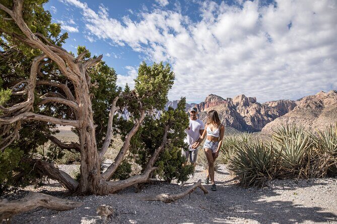Red Rock Canyon Scooter Tour from Las Vegas - An In-Depth Look at the Experience