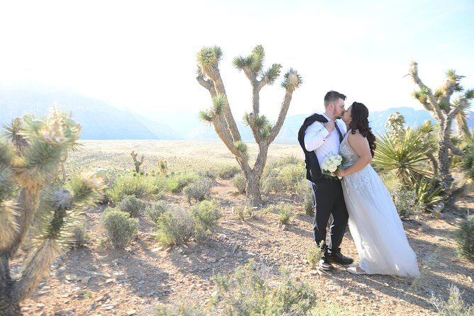 Red Rock Canyon Wedding by Private Limousine - Price and Value