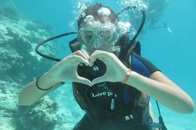 Red Sea Diving Trip from Hurghada: Beginner to Advanced Divers - What To Expect from the Itinerary