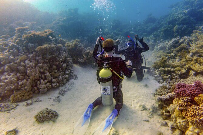 Red Sea Diving Trip from Hurghada: Beginner to Advanced Divers - The Value: Is It Worth the Price?