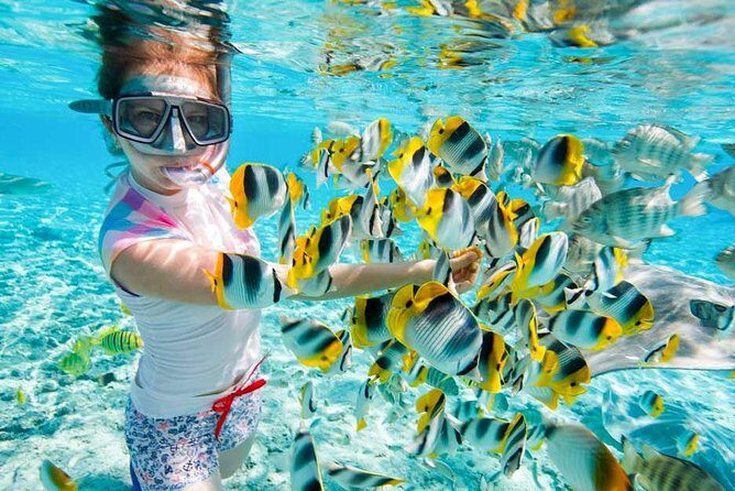 Red Sea Snorkeling Hurgada - Key Points
