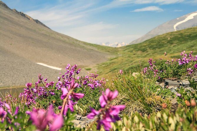 RED VALLEY( Azzaden ) 2 DAY TREK in Atlas Mountains - FAQ