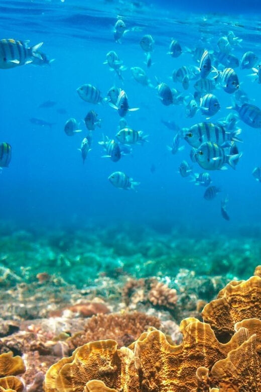 RedRiverTour-Discovery 3 Islets, Snorkeling &Fishing By Boat - Practical Tips for Participants