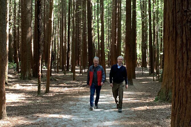 Redwood Forest , Blue Springs & Huka Falls Day Tour from Auckland - In The Sum Up