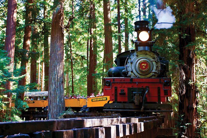 Redwood Forest, Santa Cruz Harbor 1-Day Trip from San Francisco - Key Points