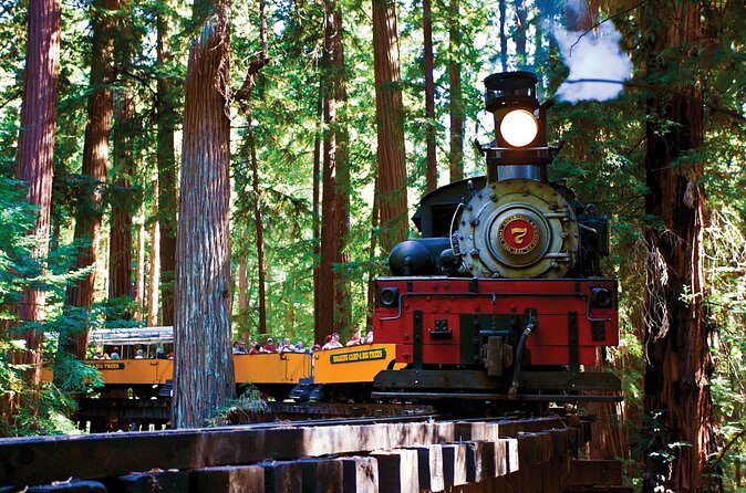Redwood Forest, Santa Cruz Harbor 1-Day Trip from San Francisco - Frequently Asked Questions