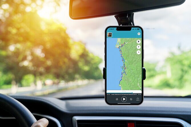Redwood National Park Self-Guided Audio Tour - In-Depth Review of the Redwood National Park Self-Guided Audio Tour