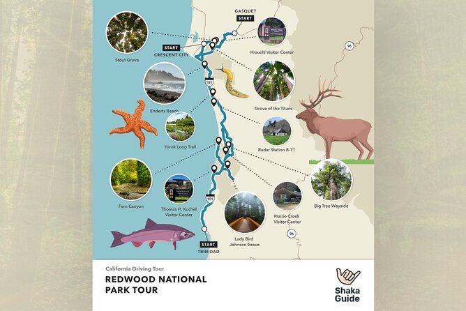 Redwood National Park Self-Guided Audio Tour - Final Thoughts