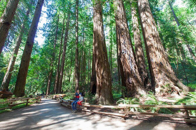 Redwood Retreat: Tour to Muir Woods from San Francisco - Practical Details and Tips