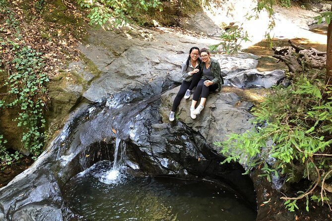 Redwoods of Marin and Mt. Tamalpais Walking Tour with Local Guide - Who Should Consider This Tour?
