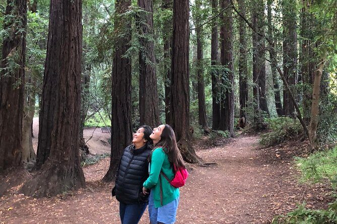 Redwoods of Marin and Mt. Tamalpais Walking Tour with Local Guide - Risks and Considerations